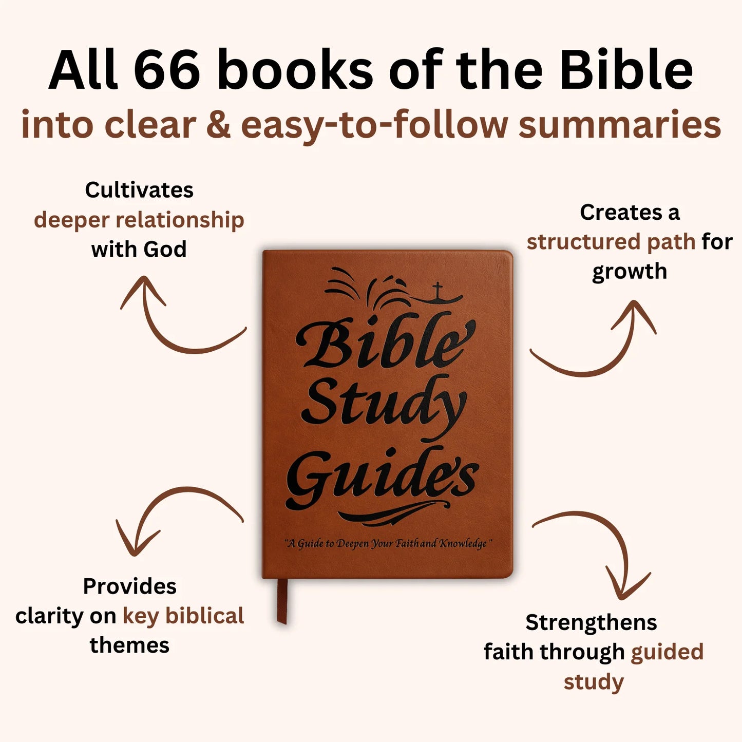 Bible Study Guide: From Confusion to Clarity